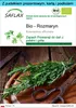 SAFLAX - Zestaw prezentowy - Bio - Rozmaryn - 40 Nasiona - Podgląd zdjęcia produktu 1