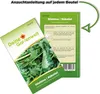 Stielmus Rübstiel Namenia Samen - Brassica rapa Produktbild-Vorschau 4