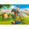 PLAYMOBIL Country 70523 Poney de collection "Welsh Voir les images du produit 15