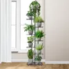 A tall, black metal plant stand with multiple shelves holding various potted plants, placed near a window with white curtains. Anteprima dell’immagine prodotto