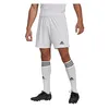 Spodenki adidas SQUADRA 21 Short GN5774 XL Voir les images du produit 2