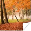 MuchoWow® Poster Blätter - Herbst - Wald 50x50 cm - Produktbild-Vorschau 1