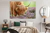 MuchoWow® Poster Schottischer Highlander - Lila - Blumen Produktbild-Vorschau 4