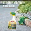 Substral Naturen Grundstoff Acetum 1L Spray unterstützt Produktbild-Vorschau 3