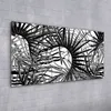 Coloray Acrylbild 100x50  Wandbild Acrylbilder Foto Produktbild-Vorschau 2