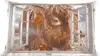 MuchoWow® Zierkissen Sofakissen Wohnzimmer Dekokissen 60x40 Produktbild-Vorschau 1