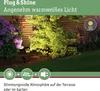 Paulmann Plug & Shine LED Gartenstrahler Sting Podgląd zdjęcia produktu 6