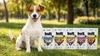 Bult | Feuchtfutter für Hunde Wild - 10x100g - 75% Fleisch Produktbild-Vorschau 3