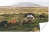 MuchoWow® Poster Pferde - Island - Braun 90x60 cm - Produktbild-Vorschau 1