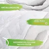 Amazinggirl Bettdecke Ganzjahresdecke 220 x 200 cm - Duvet Produktbild-Vorschau 13