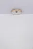 Stropní ventilátor Globo Lighting kovový bílý matný, LED Náhled obrázku produktu 11