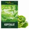 Kopfsalat Attractie Attraktion Samen - Lactuca sativa - Produktbild-Vorschau 1