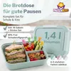 Pausenhero Brotdose Kinder mit Fächern [Obstgabeln + Produktbild-Vorschau 2