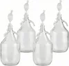 lilawelt24 4 x 5L Glasballon Gärballon Set mit Produktbild-Vorschau 1