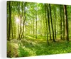OneMillionCanvasses® - Obraz na plátně - Příroda - Stromy - Náhled obrázku produktu 1