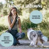 RUDELKÖNIG Hundepfeife Orange – Trainingspfeife für Hunde Produktbild-Vorschau 6