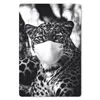 MuchoWow® Mauspad Mousepad Jagender Leopard mit einer Produktbild-Vorschau 1