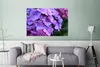 MuchoWow® Poster Blumen - Lila - Hortensie - Natur - Produktbild-Vorschau 5