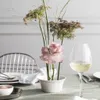 Villeroy & Boch Cellini Dessertschale ø 12,5 cm 6er Set Produktbild-Vorschau 2