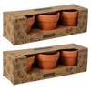6x Citronella Kerzen im Terrakotta Topf 7 x 7 cm Brenndauer Produktbild-Vorschau 1