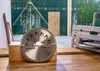 Bosch 2 609 256 847, Hout, 13 cm, 2 cm, 2,5 mm Productafbeelding-voorbeeld 6