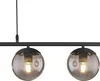 A close-up studio shot of a black pendant light fixture with two smoked glass globes. Anteprima dell’immagine prodotto
