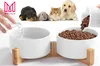 A hand is pouring water into a white ceramic pet bowl, while kibble is being poured into another identical bowl. Several young animals, including a puppy, kitten, and rabbit, are lying behind the bowls. Produktbild-Vorschau