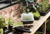 Anzuchthaube elho Anzuchthaus Haube S Green Basic ca. 24 x Produktbild-Vorschau 4