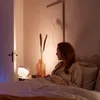 Philips Hue Iris gen4 EU/UK white Produktbild-Vorschau 20