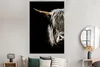 MuchoWow® Poster Schottischer Highlander - Porträt - Hoorn Produktbild-Vorschau 4