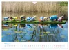 Streifzug auf Usedom (Wandkalender 2027 DIN A4 quer), Produktbild-Vorschau 6