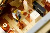 LEGO Icons Muzeum Historii Naturalnej, Klocki dla Dorosłych Podgląd zdjęcia produktu 27