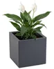 HowHomely | Pflanztopf - Blumentopf auf Rädern - Produktbild-Vorschau 8