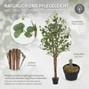 ML-Design umelý eukalyptus 180 cm, umelá rastlina s kmeňom Náhľad obrázku produktu 4
