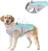 Hundeweste Kühlweste für Hunde Leicht Reflektierend UV Produktbild-Vorschau 1