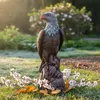 Relaxdays Adler Figur, sitzend, HxBxT: 66 x 30 x 36 cm, Produktbild-Vorschau 5