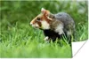 MuchoWow® Poster Hamster läuft vorsichtig durch ein Produktbild-Vorschau 1