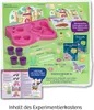 A flat lay of a children's science experiment kit for growing plants and creating a fairy garden, with various components and instructions laid out. Náhľad obrázku produktu