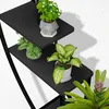 Pflanzenständer, schwarz / schwarz Produktbild-Vorschau 6