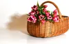 MyBer Weidenkorb mit Stoffbezug Stabiler Tragekorb Produktbild-Vorschau 5