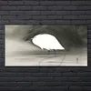 Coloray Bild aus Glas 140x70 gehärtetes Glas glasblock mit Produktbild-Vorschau 2