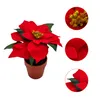 3.08 Poinsettia 20 cm en pot de terre cuite - Poinsettia / Voir les images du produit 3