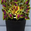 LED-Pflanzen-Strahler JASMIN Produktbild-Vorschau 6