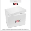 THERM BOX Styroporbox 13W Innen: 30x20x22cm Wand: 5cm Produktbild-Vorschau 10