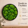 HAGO24 Moosbild Grün Kiefernholz Wandbild Mooswand Produktbild-Vorschau 4