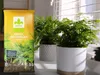 Erde für Farne - 5l - Locker - Nährstoffreich - Optimal für Produktbild-Vorschau 5