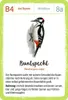 Expedition Natur: Het bosdieren-kwartet Productafbeelding-voorbeeld 6
