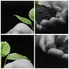 Bild auf Leinwand - Leinwandbild - Einteilig - Natur Produktbild-Vorschau 8