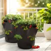 Erdbeer Pflanzsack im 2er Set - je 45 x 35 cm / 45 Liter - Produktbild-Vorschau 6