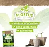 Wintererbse Sima |  Markerbsensamen von FLORTUS Produktbild-Vorschau 3